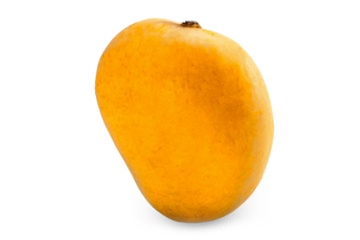Mango(Hamam)Tamil Nadu