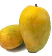 Kesar Mangoes 3kg