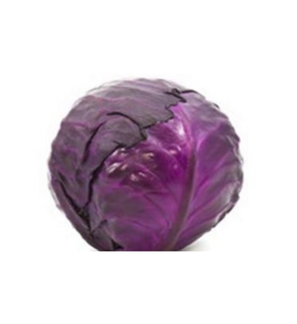 Red_Cabbage