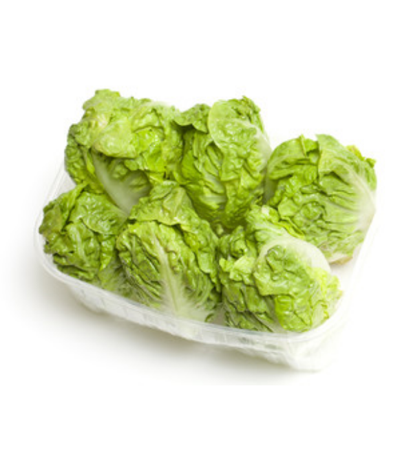 lettuce gem