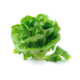 romaine-lettuce