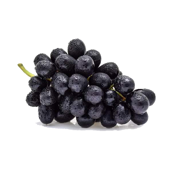 Sweet Grapes(Black)