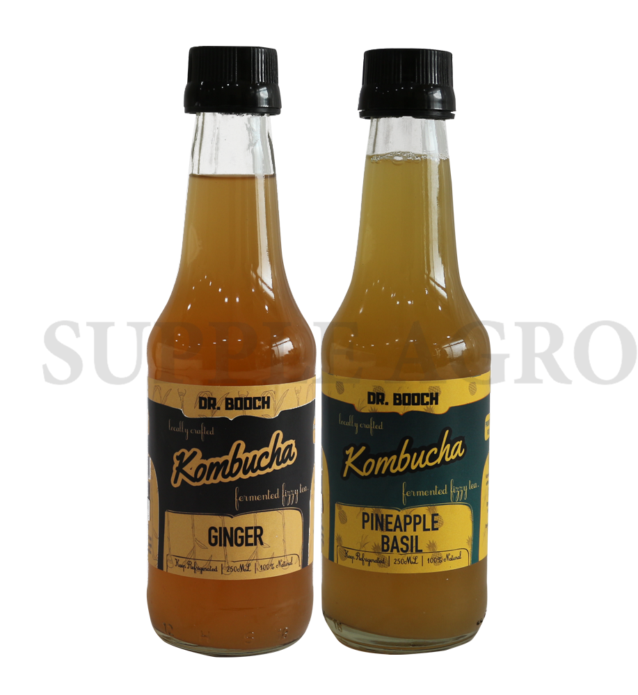 Ginger & Pineapple Basil Kombucha 250ML X 2
