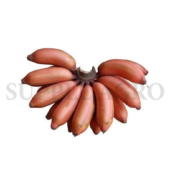 Banana Red 500gm