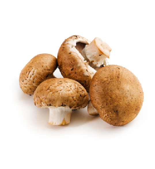 Mushroom(Cremini)