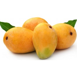 Mangoes From Kerela