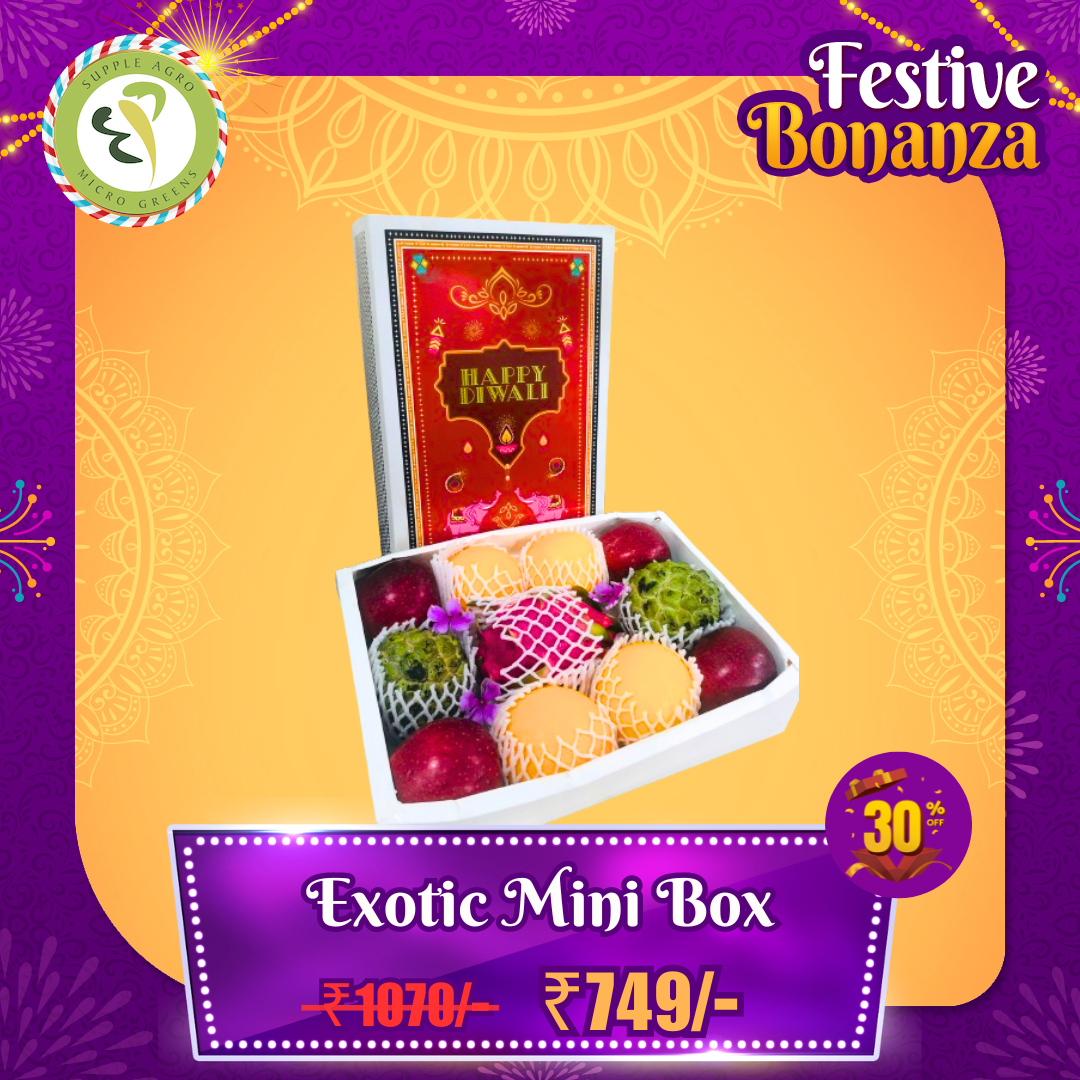 Exotic Mini Box