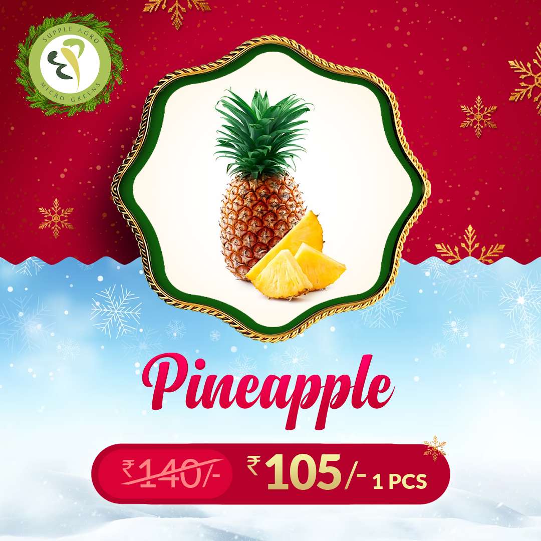 Rani Pineapple 1 Piece